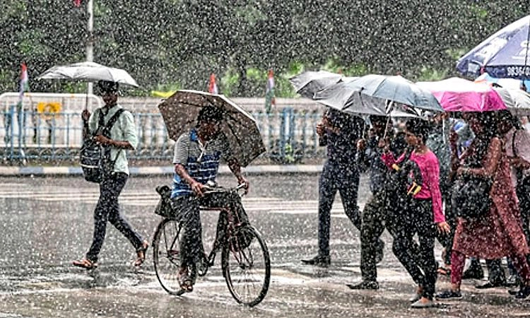 Heavy Rain: ಜು.24 ರಂದು ಶಿರಸಿ, ಜೋಯಿಡಾ, ಸಿದ್ದಾಪುರ ತಾಲೂಕಿನ ಶಾಲೆಗಳಿಗೆ ರಜೆ