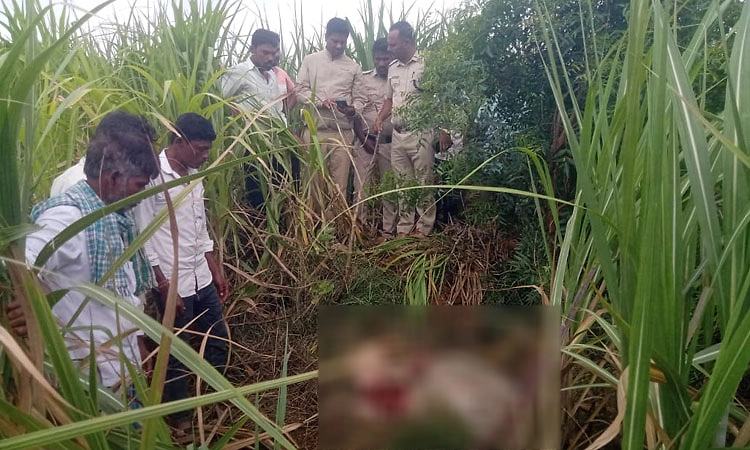 Nalatawad: ಜಾನುವಾರುಗಳ ಮೇಲೆ ನಿಗೂಢ ಕಾಡುಪ್ರಾಣಿ ದಾಳಿ, ರೈತರಲ್ಲಿ ಆತಂಕ