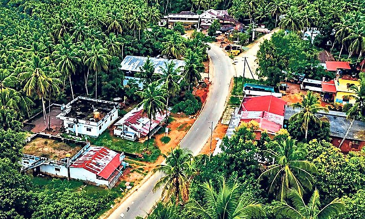Kasturirangan report: ಕಾಡು ಉಳಿಯಬೇಕು, ನಮ್ಮ ಬದುಕು ಕೂಡ