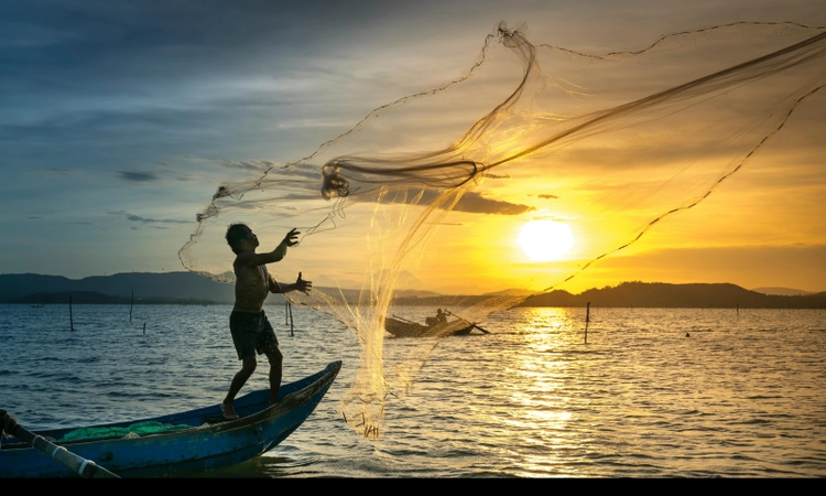 Cyclone impact halts fishing along Karnataka coast, fish prices soar