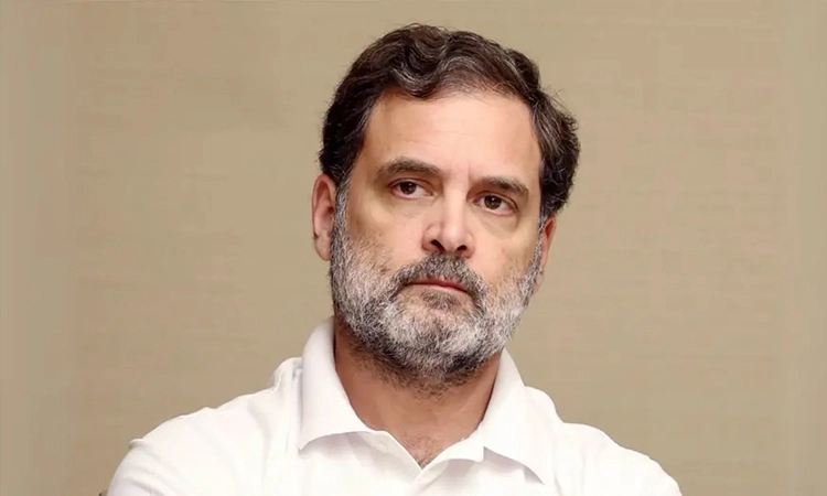 ಮತಗಳುವಿನಿಂದ ನಿರುದ್ಯೋಗ, ಭ್ರಷ್ಟಾಚಾರ ಹೆಚ್ಚಳ: ರಾಹುಲ್‌