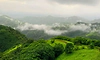 ಪಶ್ಚಿಮ ಘಟ್ಟಗಳ ರಕ್ಷಣೆ: "ಮಧ್ಯಮ ಮಾರ್ಗ'ವೇ ಪರಿಹಾರ