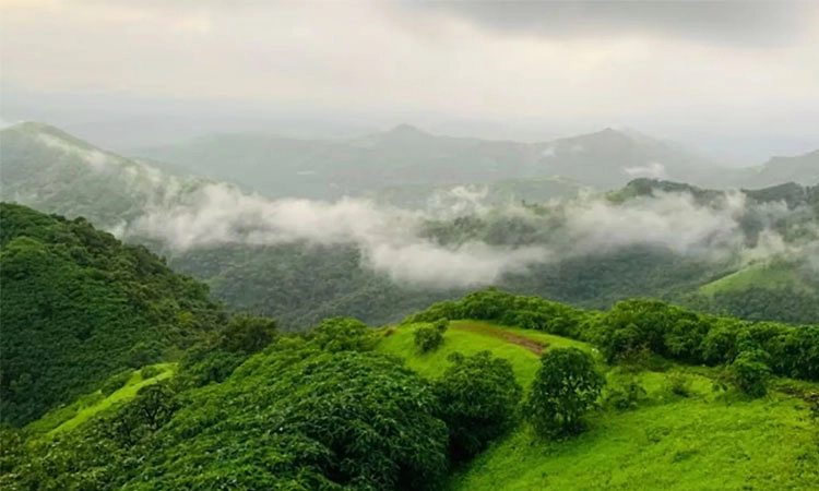ಪಶ್ಚಿಮ ಘಟ್ಟಗಳ ರಕ್ಷಣೆ: "ಮಧ್ಯಮ ಮಾರ್ಗ'ವೇ ಪರಿಹಾರ
