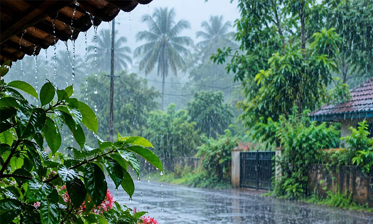 ಮುಂಗಾರು ಅಂತ್ಯಕ್ಕೆ ವಾರವಷ್ಟೇ ಬಾಕಿ: ರಾಜ್ಯವಿಡೀ ಮಳೆ ಕೊರತೆ