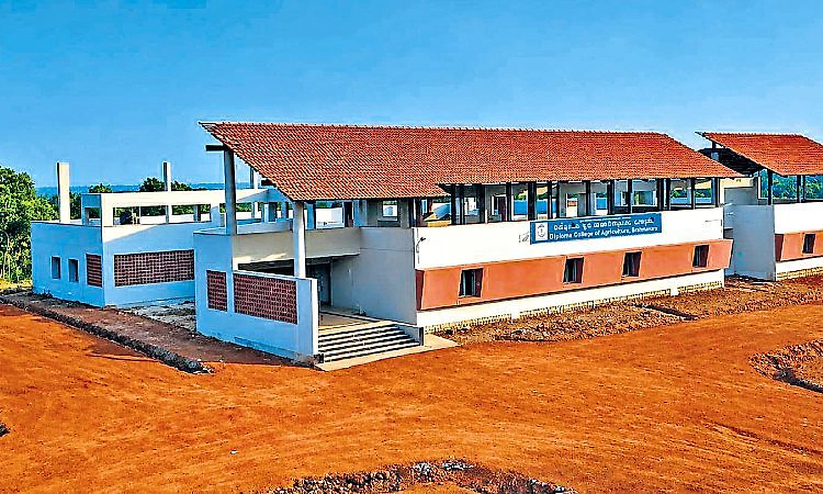 ಹೆಚ್ಚುತ್ತಿರುವ ಕೃಷಿ ಆಸಕ್ತಿ: ಪದವಿ ಕಾಲೇಜು ಸ್ಥಾಪನೆಗೆ ಸಕಾಲ