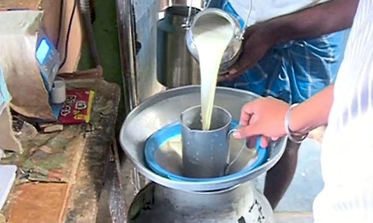 ಹಾಲಿನ ದರ ಹೆಚ್ಚಿಸಿ: ಶಾಸಕರಿಂದ ಪಕ್ಷಾತೀತ ಆಗ್ರಹ