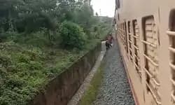 阿萨姆邦：铁路轨道上的简易爆炸装置爆炸扰乱了火车服务