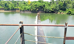 Udupi: ಬಜೆ, ಶೀರೂರು ಡ್ಯಾಂಗಳಿಗೆ ಗೇಟ್‌ ಅಳವಡಿಕೆ