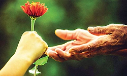 ಆಪತ್ತಿಗೆ ಆಗುವ ಅಣ್ಣಂದಿರು!