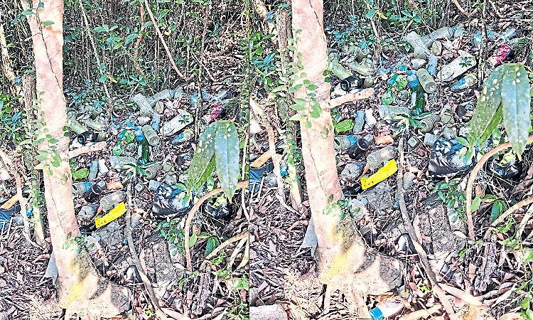 Karkala: Tourist negligence turns Hukrate waterfall into dumping spot