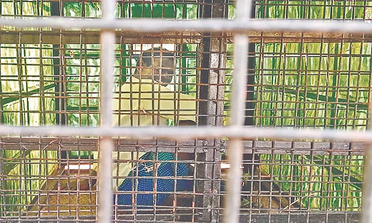 ಯಳಂದೂರು: ಚಿರತೆ ಸೆರೆಗೆ ಇಟ್ಟಿದ್ದ ಬೋನಿನಲ್ಲಿ ಸಿಲುಕಿ ವ್ಯಕ್ತಿ ನರಳಾಟ