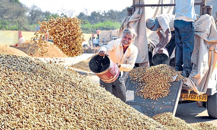 Kota: ಶೇಂಗಾ ಬಿತ್ತನೆ ಬೀಜ ಗುಣಮಟ್ಟದ ಬಗ್ಗೆ ಆತಂಕ