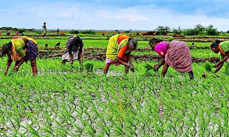 Chikkaballapur: ಸಾವಿಗೆ ಸವಾಲೊಡ್ಡುವ ಬಯಲು ಸೀಮೆ ರೈತರು!
