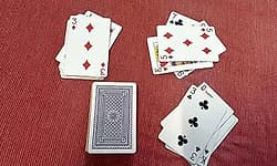 Belthangady: ಜೂಜು; 13ಕ್ಕೂ ಅಧಿಕ ಮಂದಿ ವಶ