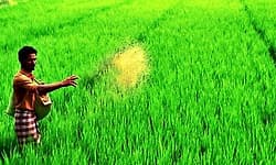 ರೈತರ ಸಮಸ್ಯೆ, ಸಂಕಷ್ಟಗಳಿಗೆ ಬೇಕಿದೆ ವೈಜ್ಞಾನಿಕ ಪರಿಹಾರ