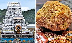 Tirupati laddu case: In final chargesheet, CBI names TTD employees, ghee suppliers as accused