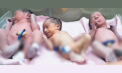 ಮೈಸೂರು:ತ್ರಿವಳಿ ಮಕ್ಕಳಿಗೆ ಜನ್ಮ ನೀಡಿದ ಮಹಾ ತಾಯಿ