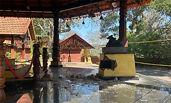 ನಿಡುವಳೆ: ರಾಮೇಶ್ವರ ದೇವಸ್ಥಾನದಲ್ಲಿ ಕಳ್ಳರ ಕೈಚಳಕ