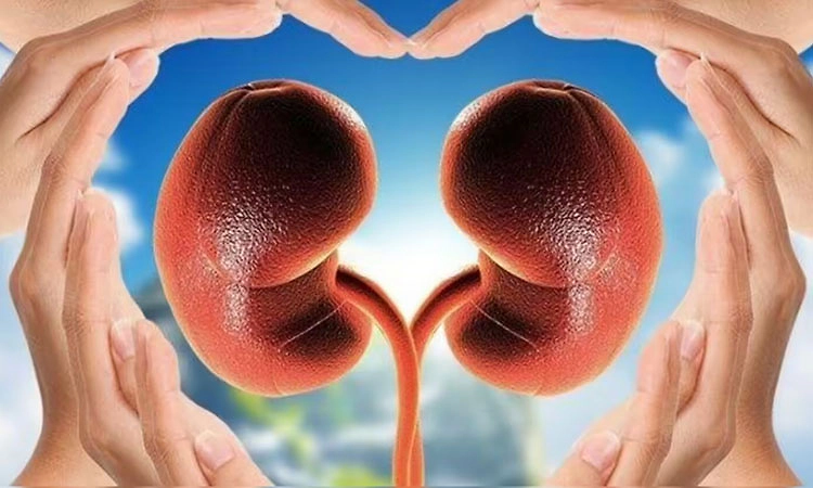 ಇಬ್ಬರು ಸೊಸೆಯಂದಿರಿಗೆ ಕಿಡ್ನಿ ದಾನ ಮಾಡಿದ ಅತ್ತೆಯಂದಿರು!