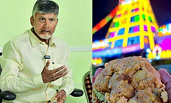 ಲಡ್ಡುಗೆ 60 ಲಕ್ಷ ಕೆ.ಜಿ. ಕಲಬೆರಕೆ ತುಪ್ಪ ಬಳಸಿದ್ದ‌ ವೈಎಸ್‌ಆರ್‌ಪಿ: ನಾಯ್ಡು