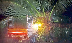 Heavy rain and strong winds damage vehicle and house in Ripponpet