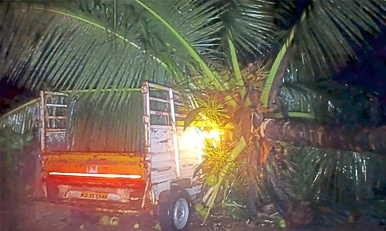 Heavy rain and strong winds damage vehicle and house in Ripponpet