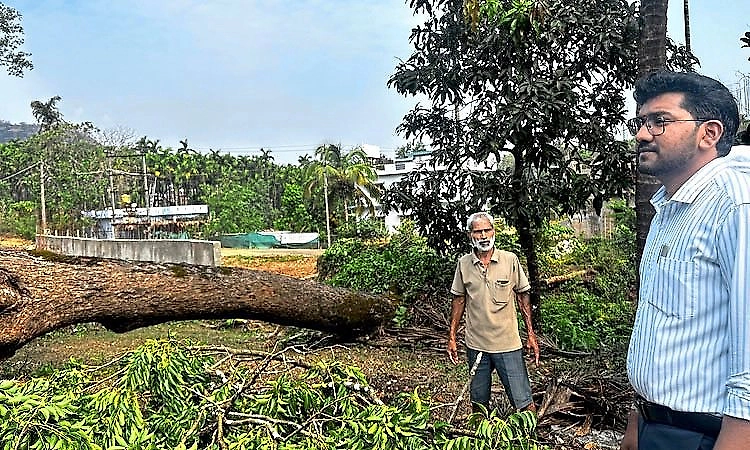 Thirthahalli: heavy rain and strong winds cause damage; tahsildar inspects affected areas