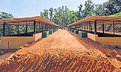 Puttur: ಕೊಳ್ತಿಗೆಯಲ್ಲಿ ಮಲ ತ್ಯಾಜ್ಯ ಸಂಸ್ಕರಣ ಘಟಕ