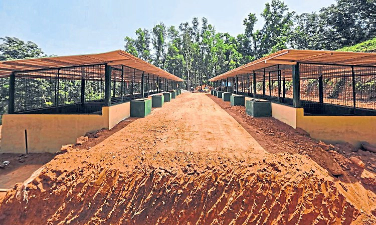 Puttur: ಕೊಳ್ತಿಗೆಯಲ್ಲಿ ಮಲ ತ್ಯಾಜ್ಯ ಸಂಸ್ಕರಣ ಘಟಕ