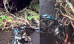 Ripponpet: ಬೈಕ್ ಮೇಲೆ ಮರ ಉರುಳಿ ಸವಾರನಿಗೆ ಗಾಯ: ಭಾರಿ ಗಾಳಿ-ಮಳೆಯ ಅಬ್ಬರ, ತಪ್ಪಿದ ಅನಾಹುತ