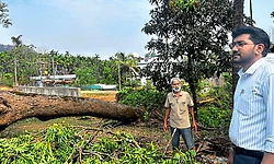 ತೀರ್ಥಹಳ್ಳಿಯಲ್ಲಿ ವರುಣನ ಅಬ್ಬರ: ಮಳೆ ಹಾನಿ ಪ್ರದೇಶಗಳಿಗೆ ತಹಶೀಲ್ದಾರ್ ಭೇಟಿ, ಪರಿಶೀಲನೆ