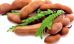 ತುಮಕೂರು: ಕ್ವಿಂಟಲ್ ಹುಣಸೆ 44 ಸಾವಿರ ರೂ.ಗೆ ಮಾರಾಟ!