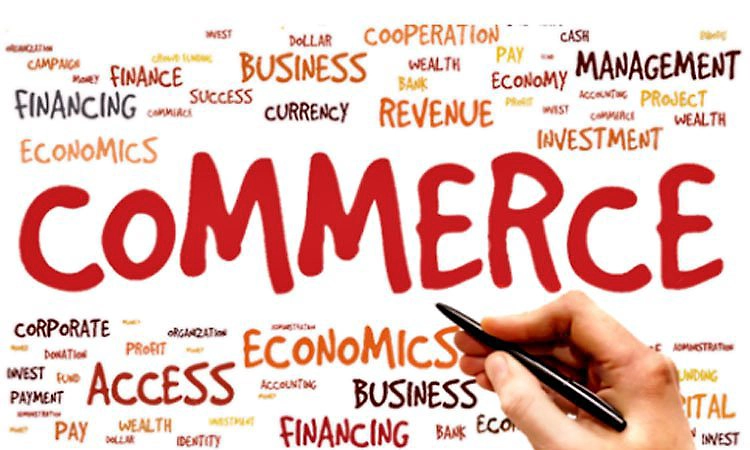 ಭಾರತದ ವಾಣಿಜ್ಯಜ್ಞಾನ ಮತ್ತು ನಿರುದ್ಯೋಗಕ್ಕೆ ಪರಿಹಾರ