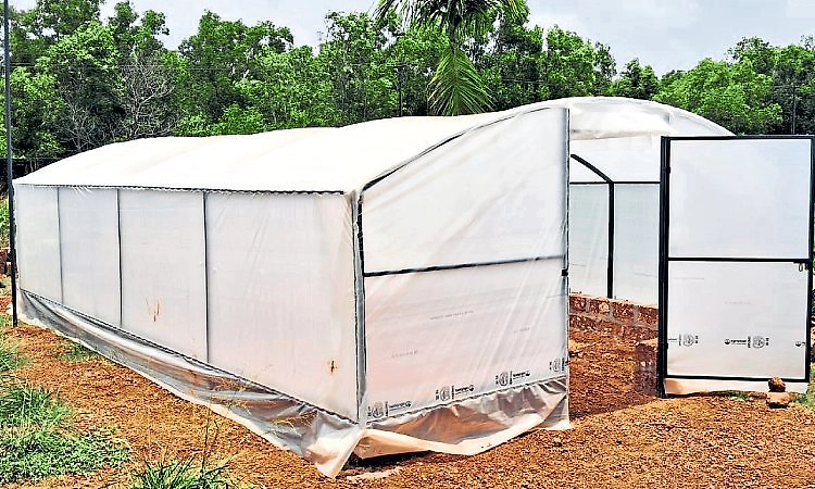 ಬೇಳದಲ್ಲಿ ಆರಂಭವಾಗಲಿದೆ ಸೆಗಣಿ ಹುಡಿ ಘಟಕ