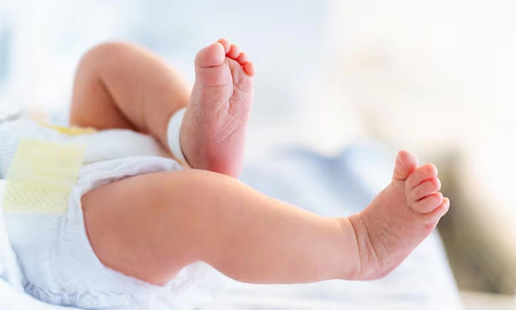 Bidar: ತ್ರಿವಳಿ ಮಕ್ಕಳಿಗೆ ಜನ್ಮ ನೀಡಿದ ಮಹಿಳೆ