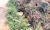 Kundapur: ರಸ್ತೆಗೆ ಚರಂಡಿ ಇಲ್ಲ,ಬೀದಿ ದೀಪವೂ ಇಲ್ಲ!