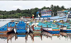 Poor monsoon leaves Malpe fishermen struggling as fish catch declines