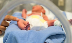 One-gram gold ring for babies born in Tamil Nadu government hospitals