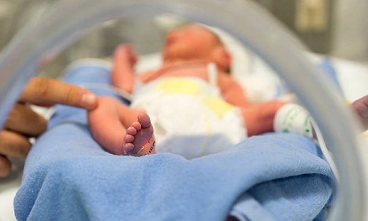 One-gram gold ring for babies born in Tamil Nadu government hospitals