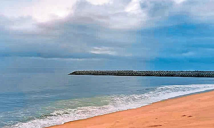 ಸಸಿಹಿತ್ಲಿನಲ್ಲಿ ಜಂಗಲ್‌ ಲಾಡ್ಜ್ ರೆಸಾರ್ಟ್‌