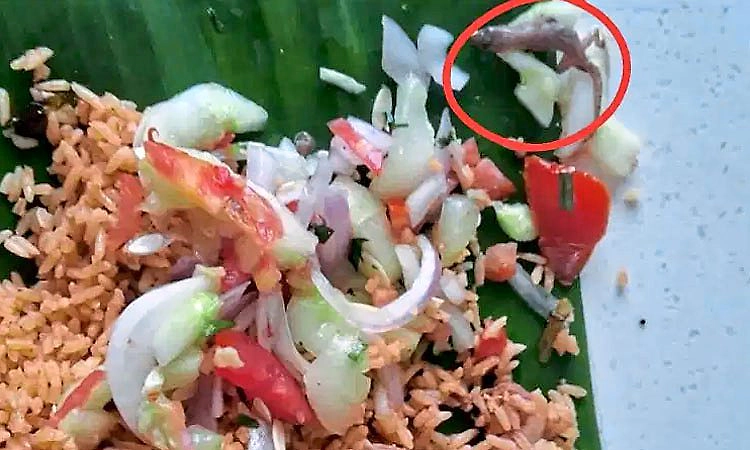 Kolar: ಬಿರಿಯಾನಿಯಲ್ಲಿ ಹಲ್ಲಿ ಪತ್ತೆ, ಮಹಿಳೆ ಅಸ್ವಸ್ಥ
