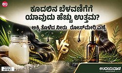 ಅಕ್ಕಿ ತೊಳೆದ ನೀರು vs ರೋಸ್‌ಮೇರಿ ಎಣ್ಣೆ: ಕೂದಲಿನ ಬೆಳವಣಿಗೆಗೆ ಯಾವುದು ಹೆಚ್ಚು ಉತ್ತಮ?