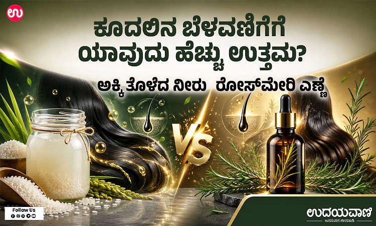 ಅಕ್ಕಿ ತೊಳೆದ ನೀರು vs ರೋಸ್‌ಮೇರಿ ಎಣ್ಣೆ: ಕೂದಲಿನ ಬೆಳವಣಿಗೆಗೆ ಯಾವುದು ಹೆಚ್ಚು ಉತ್ತಮ?