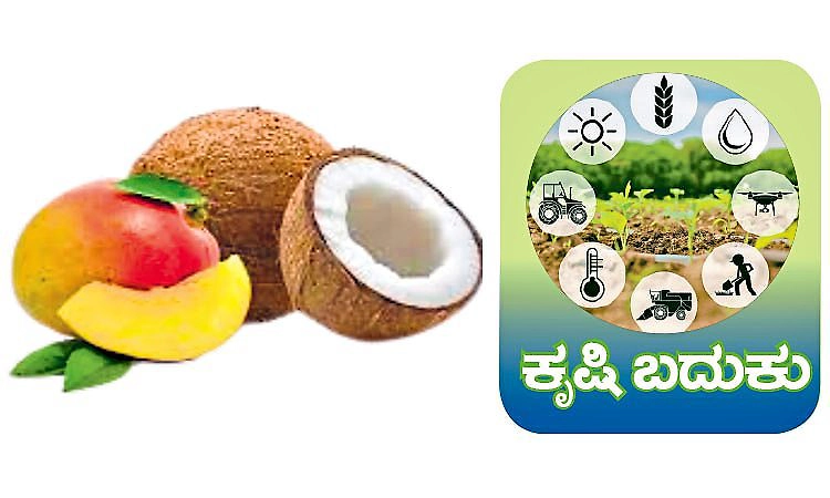 Agri Business: ಶೂನ್ಯ ತ್ಯಾಜ್ಯ ಮಾದರಿ ಕೃಷಿ ಉದ್ಯಮ ಕೃಷಿ ತ್ಯಾಜ್ಯಗಳ ಮೌಲ್ಯವರ್ಧನೆ
