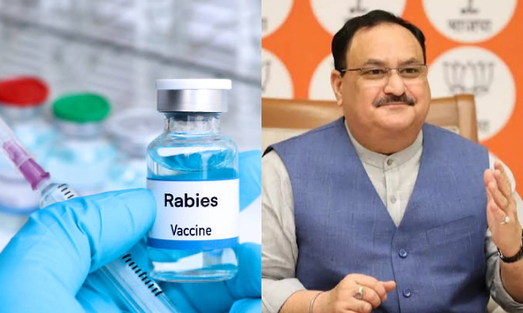 No reports on nationwide shortage of anti-rabies vaccine: Nadda tells Lok sabha