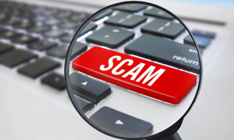 Veterinary doctors allege recruitment scam in Karnataka