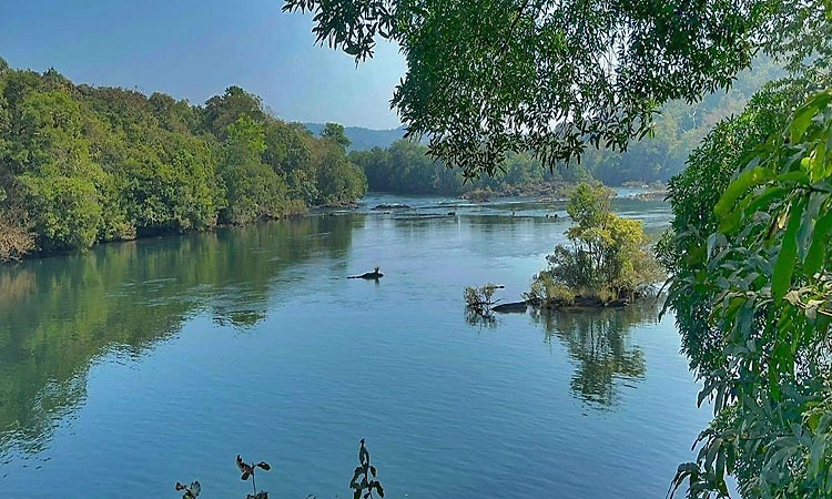 ಕಾಳಿ, ನೇತ್ರಾವತಿ, ಯಗಚಿ ನದಿ ಮಾಲಿನ್ಯ ಮುಕ್ತ