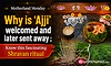 Motherland Monday: Why is ‘Ajji’ welcomed and later sent away ; Know this fascinating Shravan ritual 