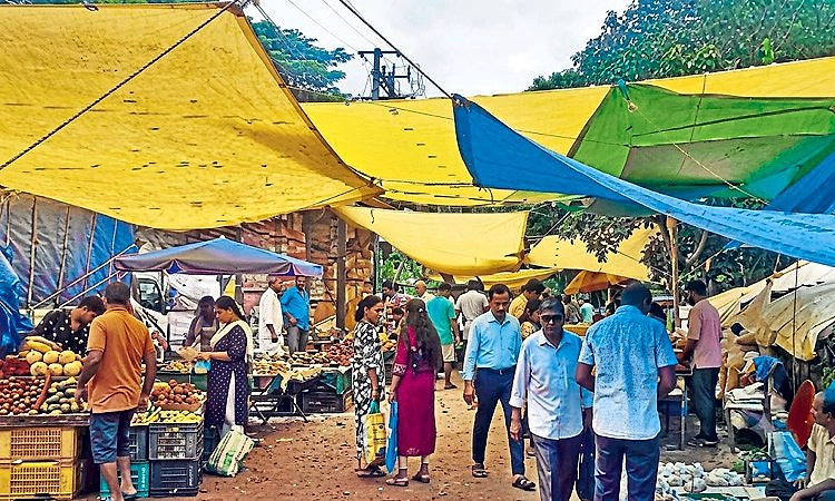 ತೋನ್ಸೆ ಕೆಮ್ಮಣ್ಣು ಸಂತೆ ಕೆಸರುಗದ್ದೆ!