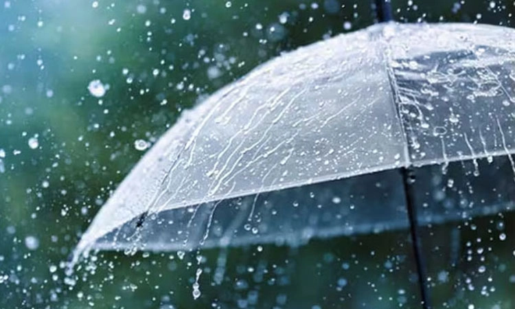 Rain; ಸೆ. 24ರಿಂದ 27: ಕರಾವಳಿಗೆ ಎಲ್ಲೋ ಅಲರ್ಟ್